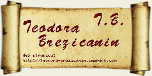 Teodora Brezičanin vizit kartica